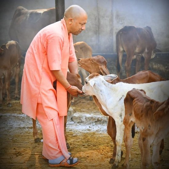 उत्तर प्रदेश के मुख्यमंत्री योगी आदित्यनाथ को इंस्टाग्राम पर 3.5 मिलियन यूजर्स फॉलो करते हैं।वहीं योगी आदित्यनाथ महज 10 लोगों को ही फॉलो करते हैं जिनमें प्रधानमंत्री नरेंद्र मोदी, राजनाथ सिंह और अमित शाह सहित अन्य पॉलिटिशियन हैं लेकिन इनमें बीजेपी अध्यक्ष जेपी नड्डा नहीं हैं। (Photo: Yogi Adityanath Instagram)