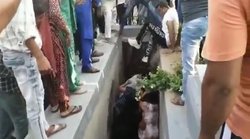 राजस्थानः जब सरेराह आपस में लड़ने लगीं करोड़पति परिवार की देवरानी-जेठानी, गुत्थम-गुत्थी के बीच नाले में जा गिरीं