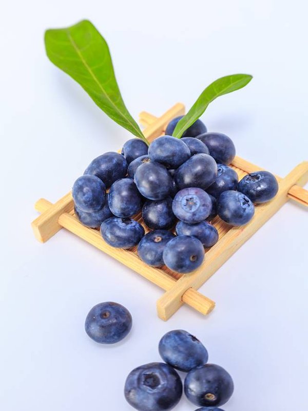 blueberry-leaves-nature-mix-eating