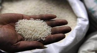 Broken Rice | Jansatta | Business News
