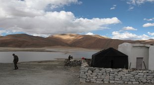 china| India| Combodia