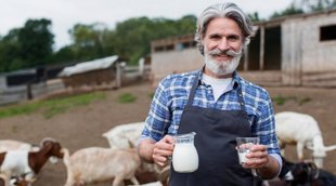 milk for uric acid control, goat milk for uric acid control,milk for uric acid control,