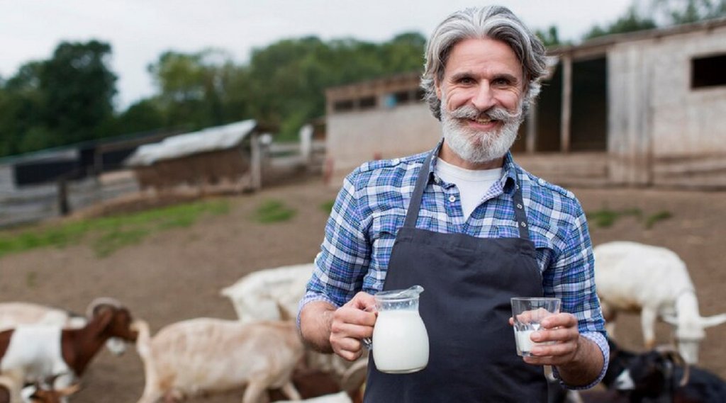 milk for uric acid control, goat milk for uric acid control,milk for uric acid control,