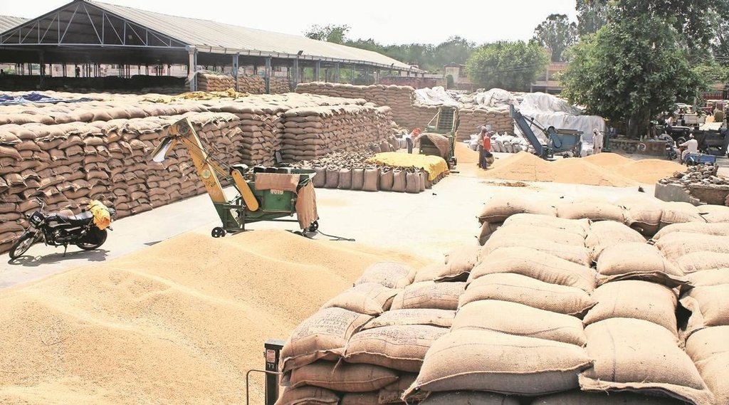 भारत के अनाज पर दुनिया की निगाहें