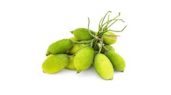 Diabetes Cure: ये एक सब्जी शुगर को तेजी से करती है कंट्रोल, जानिए फायदे