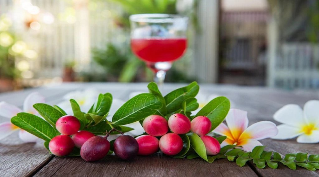 karonda fruit is beneficial,improving mental health,Treats inflammation