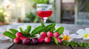 karonda fruit is beneficial,improving mental health,Treats inflammation