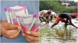 उत्तर प्रदेश: अपात्र किसानों के खातों में गई सम्मान निधि को वापस लाने के लिए क्या है प्लान, जानें