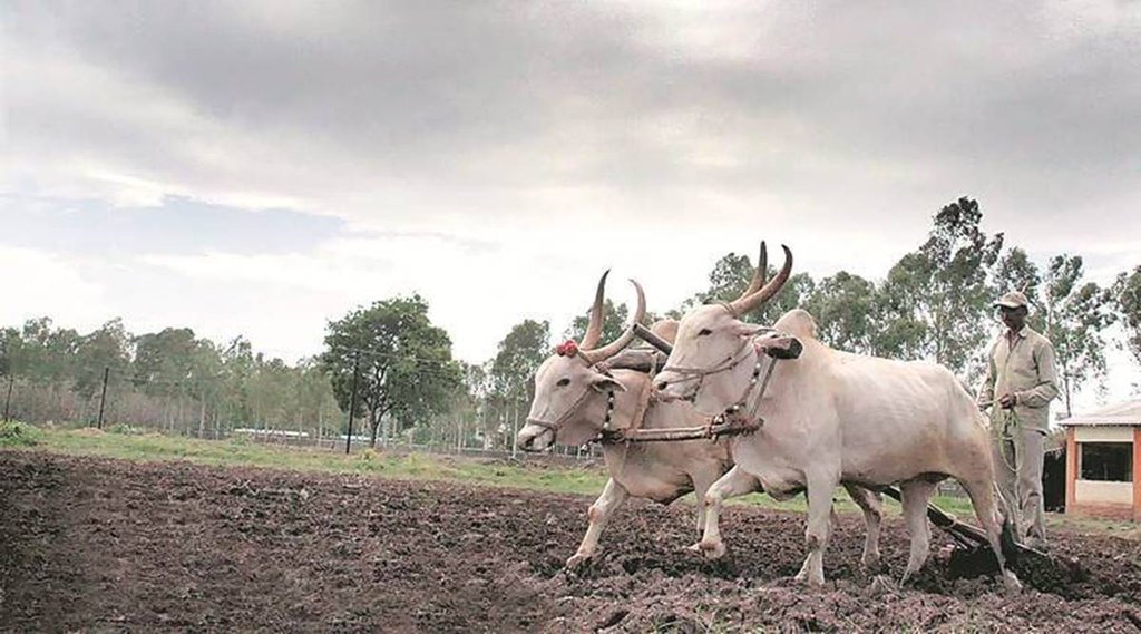 प्राकृतिक खेती ही विकल्प