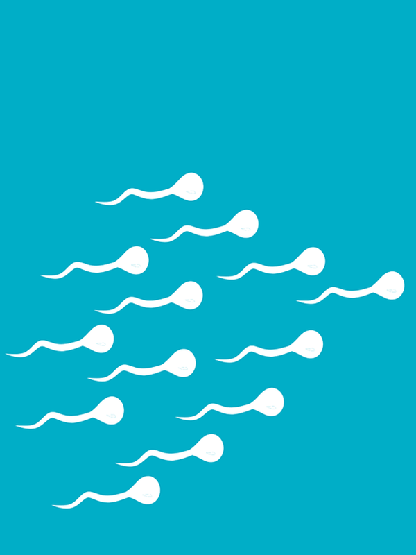 sperm