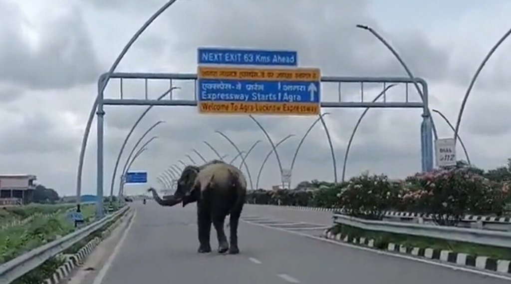 Akhilesh Yadav II Agra Lucknow Expressway II yogi Adityanath Akhilesh Yadav II Agra Lucknow Expressway II yogi Adityanath