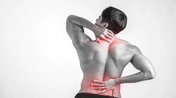 Uric Acid: यूरिक एसिड हो जाए आउट ऑफ कंट्रोल, तो इन आयुर्वेदिक जड़ी बूटियों से कर सकते हैं कम