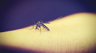 China | Fuzhou city | Fujian province | Burglar caught Help of mosquito