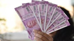 यूपी के इस गांव में आई नई ‘स्कीम’- सांड को पकड़ने पर मिल रहे 5 हजार रुपए