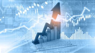 Deepak Nitrite | Share Market | Jansatta