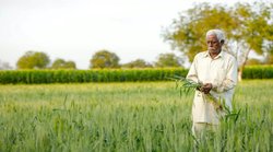 PM Fasal Bima Yojana: बीमा कंपनियों ने 5 साल में किसानों से कमाए 40,000 करोड़ रुपए, कृषि मंत्री ने कहा- आकर्षक साबित हो रही योजना