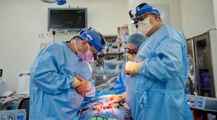 Science, International Heart Transplantation