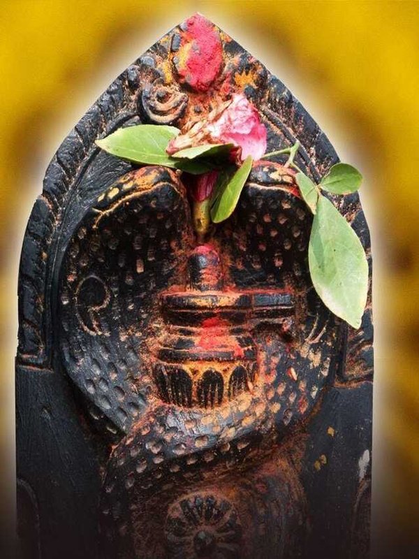 NAG PANCHAMI - DONT DO THESE TWO WORK