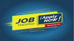 NHM Punjab Recruitment 2022: चिकित्सा अधिकारी, फार्मासिस्ट सहित कई पदों पर नौकरियां, जानें डिटेल और जल्द करें आवेदन