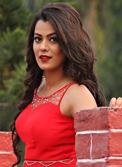 पवन सिंह के साथ सुपरहिट फिल्मों में नजर आ चुकीं एक्ट्रेस निधि झा ने एक्टिंग करियर टीवी सीरियल सपने सुहाने लड़कपन से शुरू किया था।