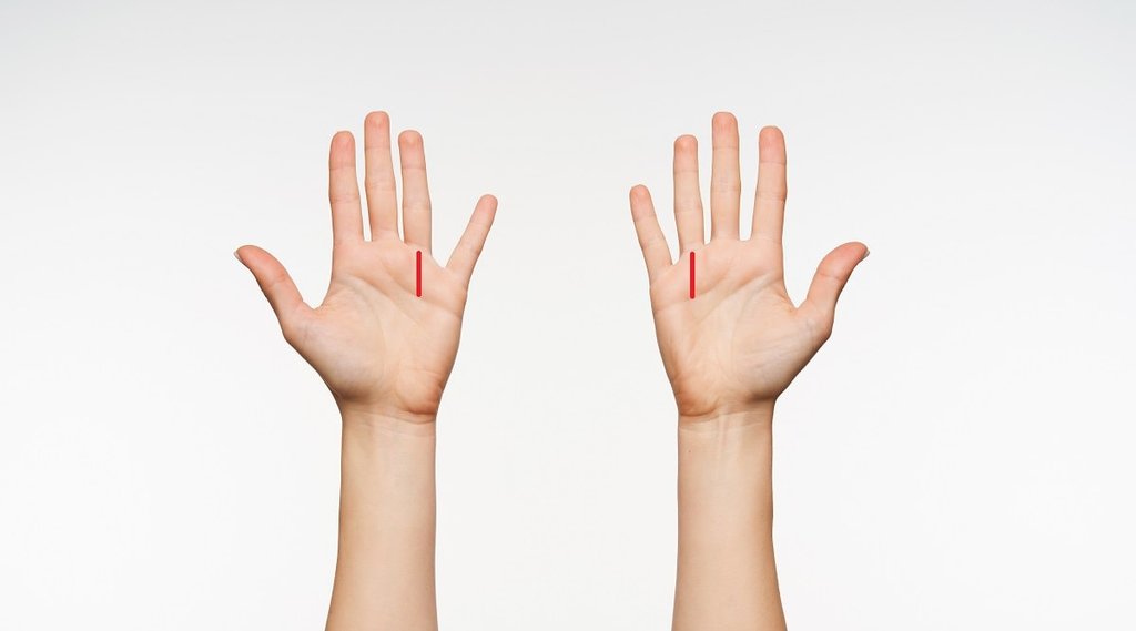 palmistry, hand line prediction, career hand line, hasth rekha,