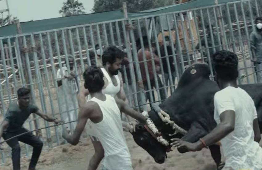 इस फिल्म में उन्हें सांड&nbsp;के साथ दो-दो हाथ करते देखने को मिलेगा।