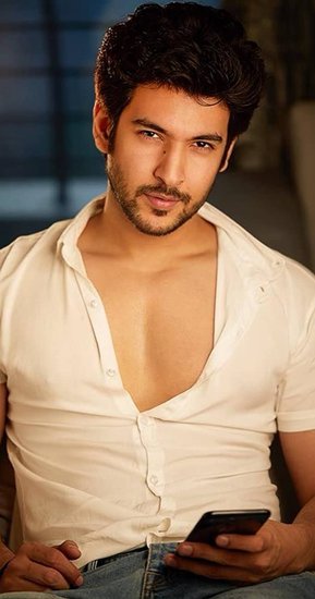 बेहद 2 के बाद एक्टर शिविन नारंग भी बेरोजगारी की मार झेल रहे हैं। उनके पास कोई सीरियल नहीं है। फिलहाल वह कभी कभार म्यूजिक वीडियोज में दिख जाते हैं।