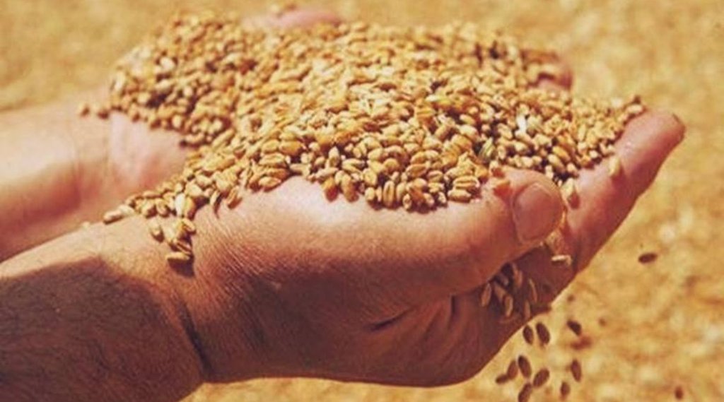 gst hike| packaged products|