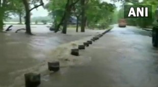 telangana rains