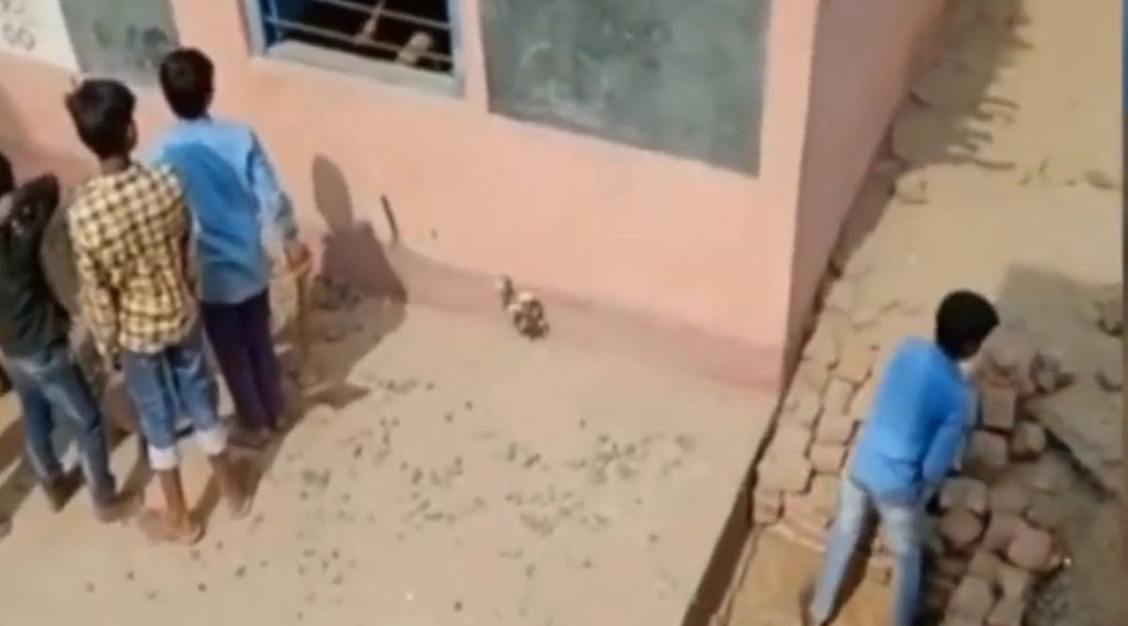 bihar govt school| bihar news