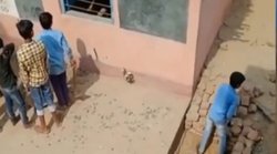 रतलाम में रैगिंग के नाम पर गुंडागर्दी, उधर बिहार के स्कूल में मजदूरी करते दिखे बच्चे तो बिफरे डीएम