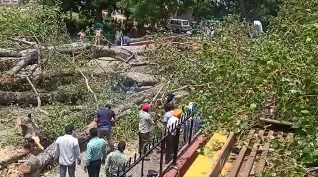 Chandigarh Accident, Heavy Tree fall on, One Student Dead
