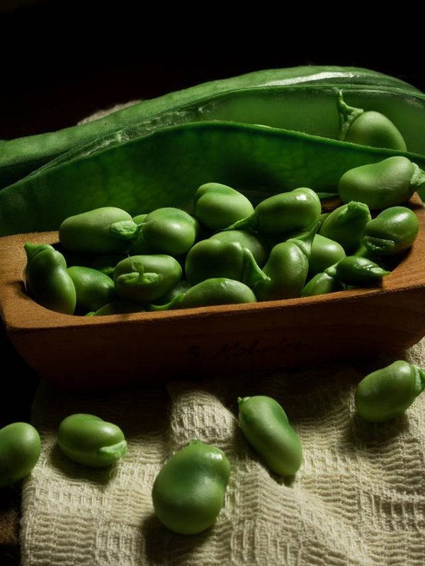 Closeup of fresh raw broad beans in the pods and a pile of beans in the wooden dish