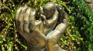 delhi high court, abortion