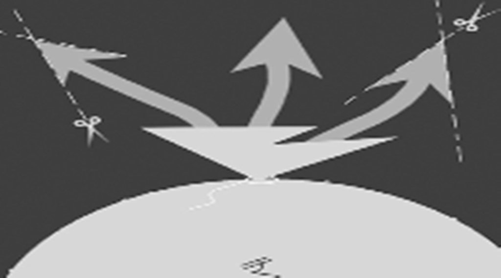 मुफ्त बांटने की राजनीति का अर्थ मुफ्त बांटने की राजनीति का अर्थ