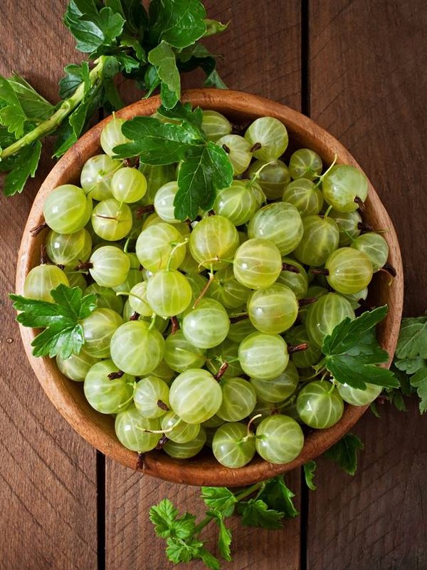 Green gooseberries in a wooden bowl