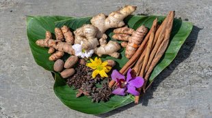 herbs for lowering blood sugar, herbs benefits, herbs for diabetes control,