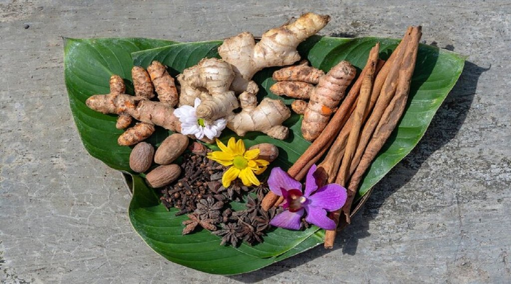 herbs for lowering blood sugar, herbs benefits, herbs for diabetes control,