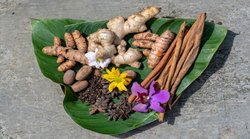 Diabetes Control: डायबिटीज के मरीजों के लिए इंसुलिन से कम नहीं ये 5 पांच जड़ी बूटी, ब्लड शुगर को नहीं बढ़ने देतीं