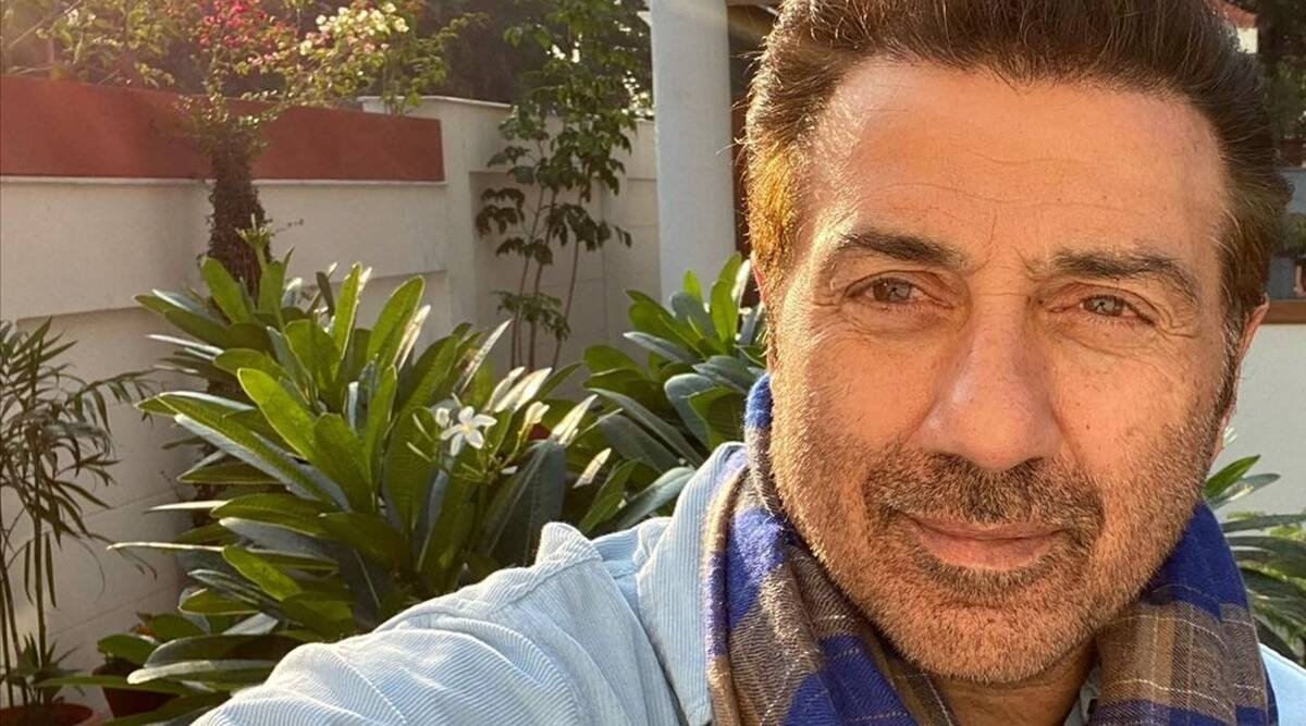 Sunny deol, सनी देओल