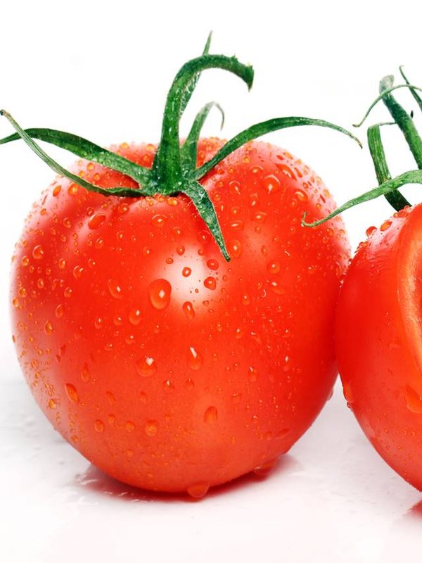 Tomatoes over white background