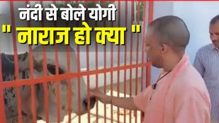 yogi viral video