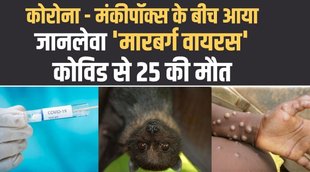 कोरोना,मारबर्ग वायरस,marburg virus,marburg virus symptoms,virus,marburg virus disease