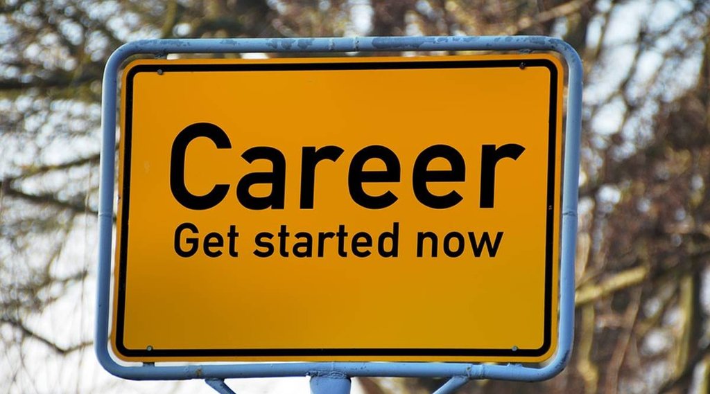 Career option, career option after 12th, career in animation