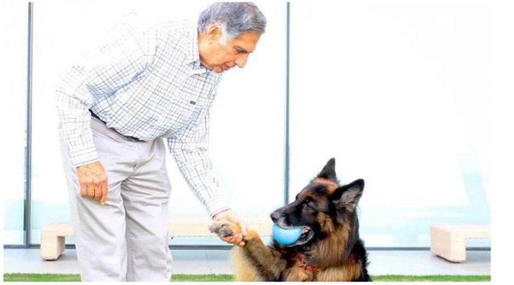 अपने कुत्ते टिटो के साथ रतन टाटा (Photo Credit: Instagram/@ratantata)
