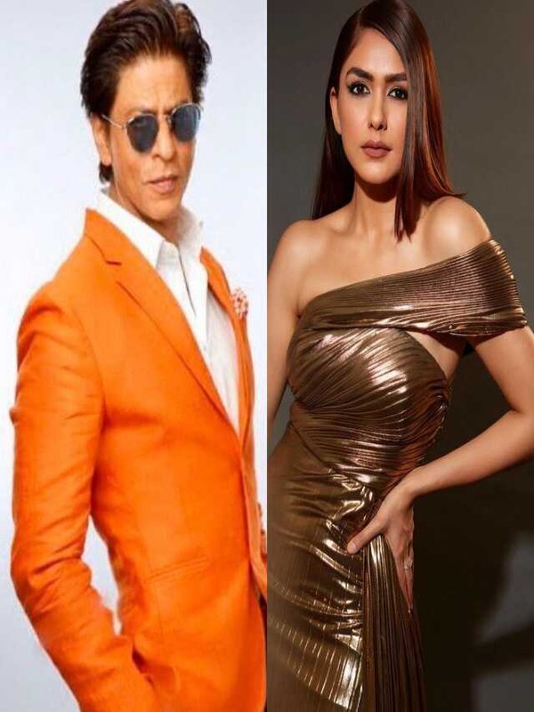 DON 3 - PRIYANKA CHOPRA IS OUT AND MRUNAL THAKUR IS IN