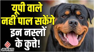 dog tax in prayagraj,प्रयागराज,prayagraj dog tax,dog tax,dog tax in prayagraj & gorakhpur,prayagraj news,dogs tax in prayagraj,pet tax prayagraj,prayagraj pet tax,dog tax rate in prayagraj,nagar nigam prayagraj dog tax,prayagraj