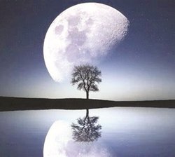 अस्वीकार आनंद