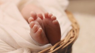 west bengal | fetuses found in Howrah | हावड़ा में फेंके गए 17 मानव भ्रूण