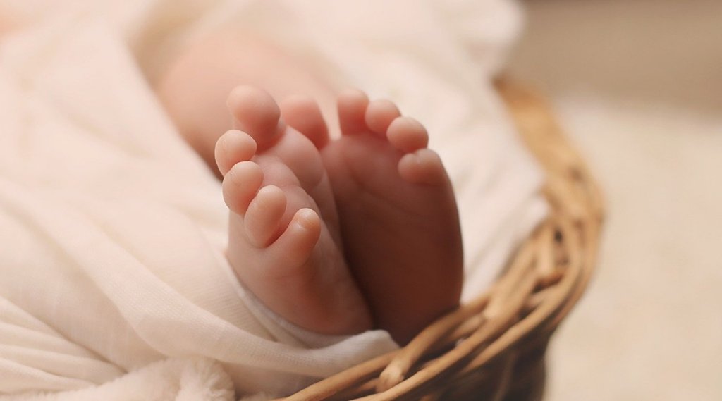 west bengal | fetuses found in Howrah | हावड़ा में फेंके गए 17 मानव भ्रूण